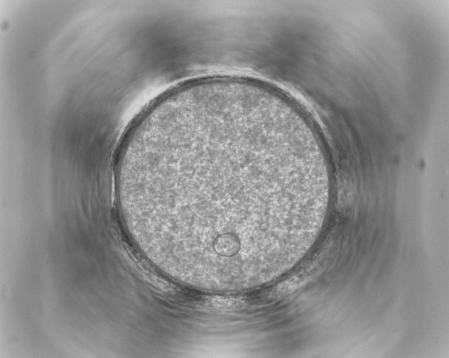 X0000088571271200706221242