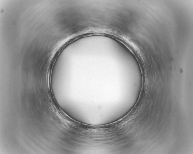 X0000088571272200706221242