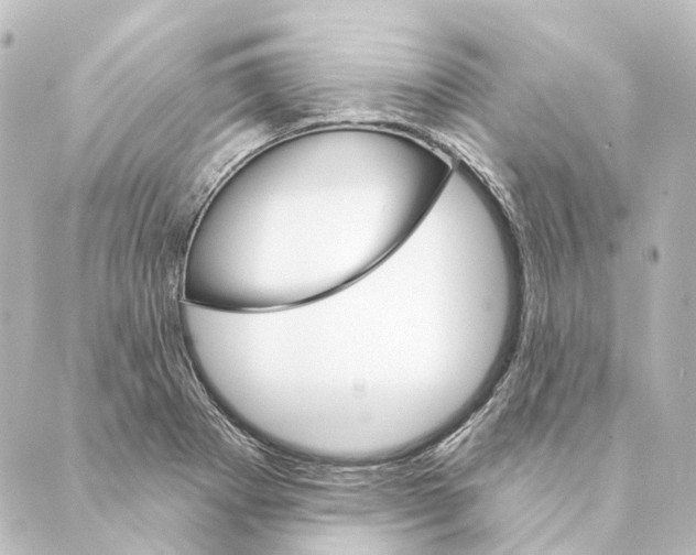 X0000088571273200706221242