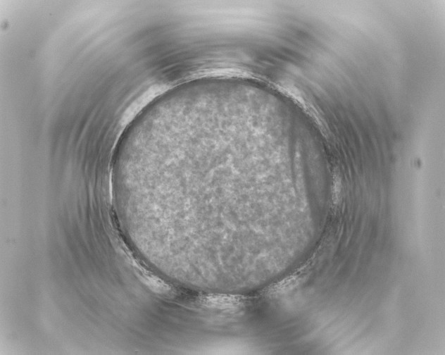 X0000088571274200706221242