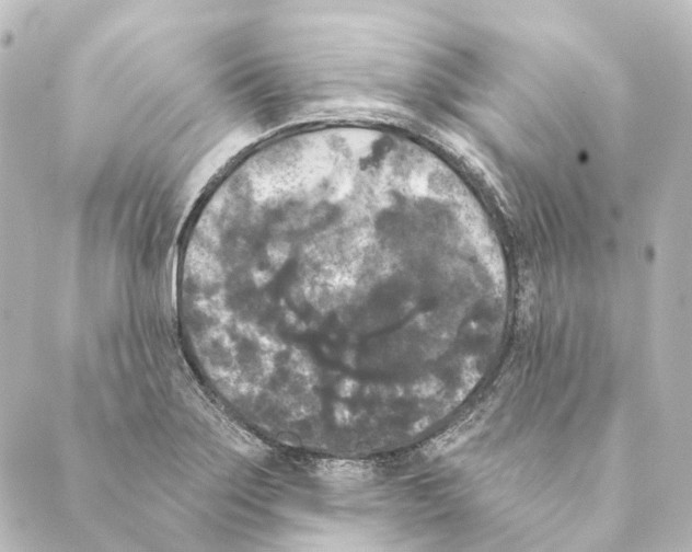 X0000088571275200706221242