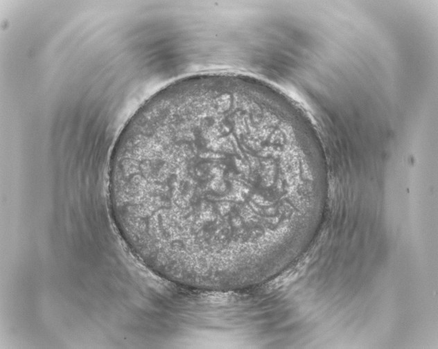 X0000088571279200706221242