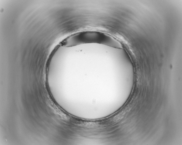 X0000088571280200706221242