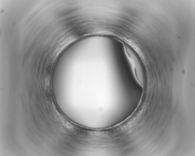 X0000088571281200706221242