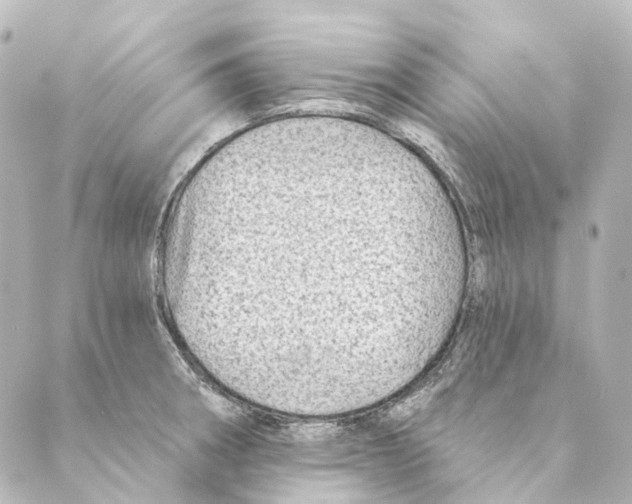 X0000088571282200706221242