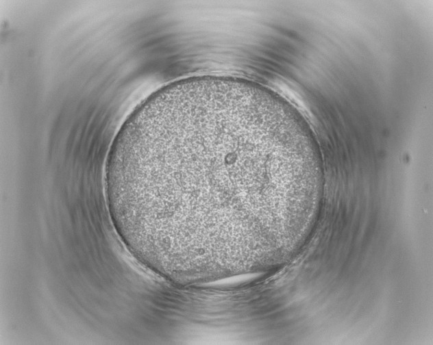 X0000088571283200706221242