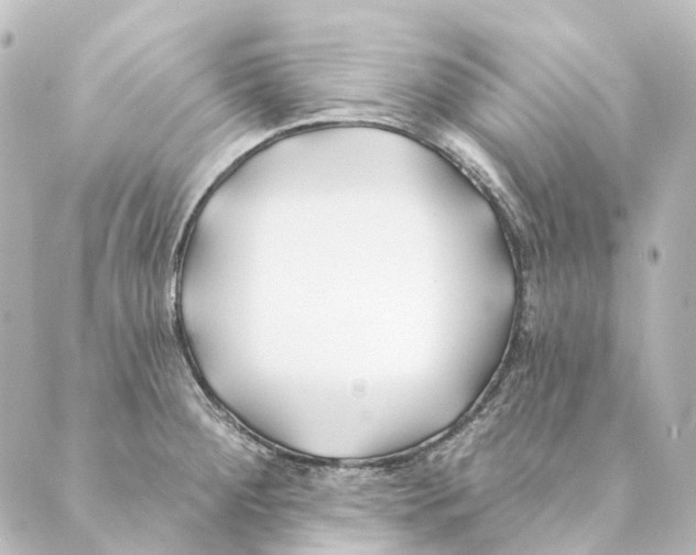 X0000088571284200706221242