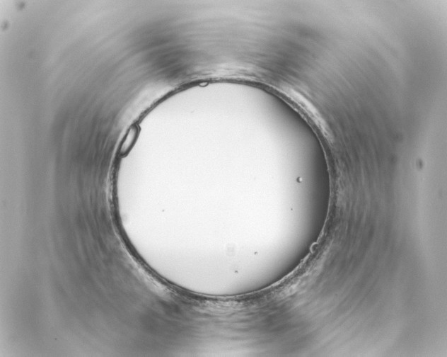 X0000088571285200706221242