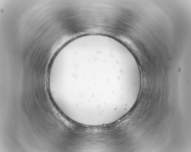 X0000088571286200706221242