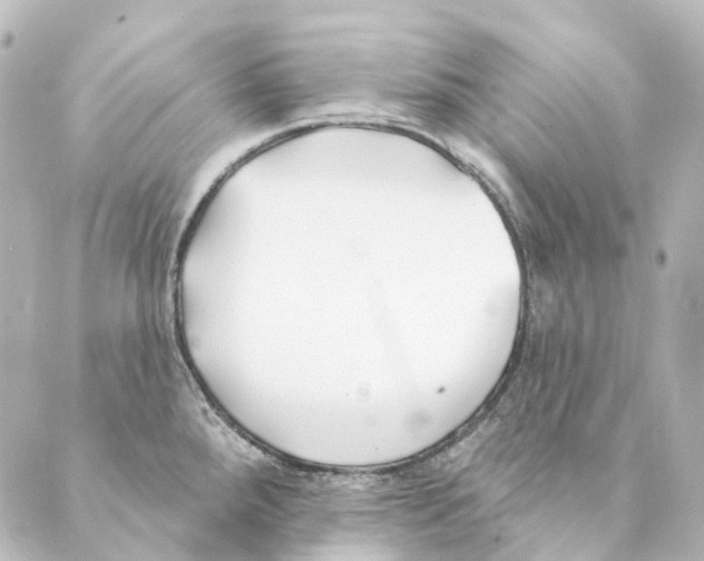 X0000088571288200706221242