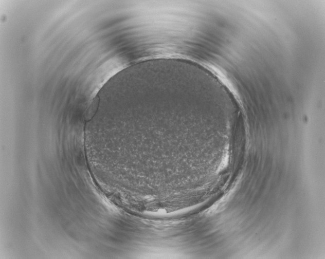 X0000088571289200706221242