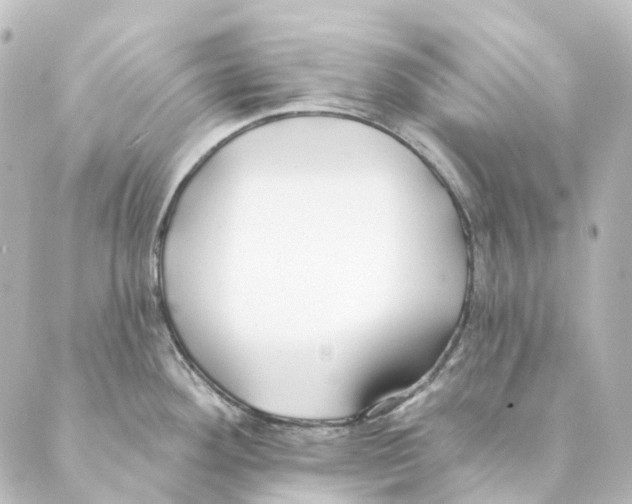 X0000088571292200706221242