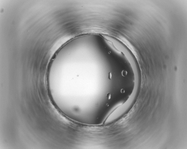 X0000088571293200706221242