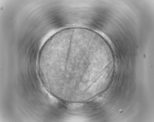 X0000088571294200706221242