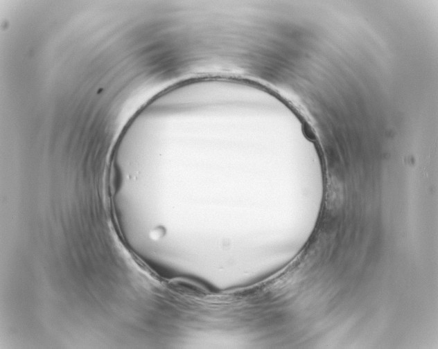 X0000088571295200706221242