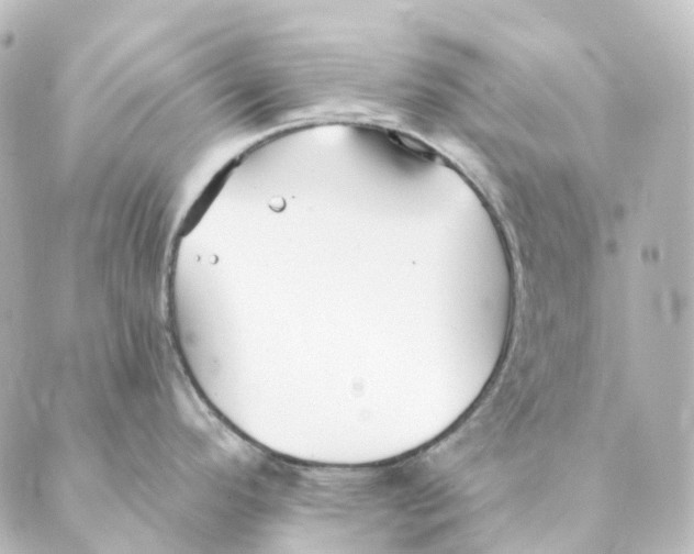 X0000088571296200706221242