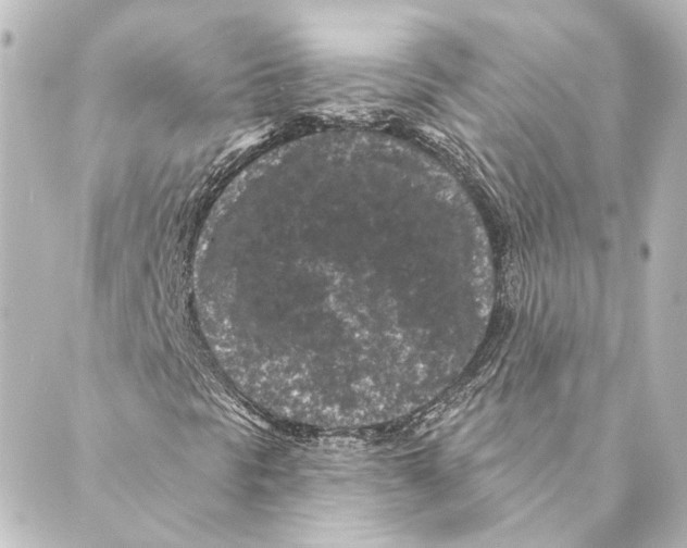 X0000088571297200706221241