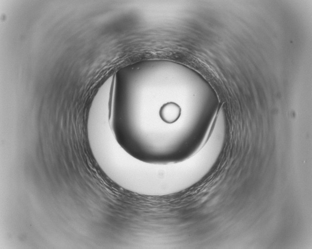 X0000088571298200706221241