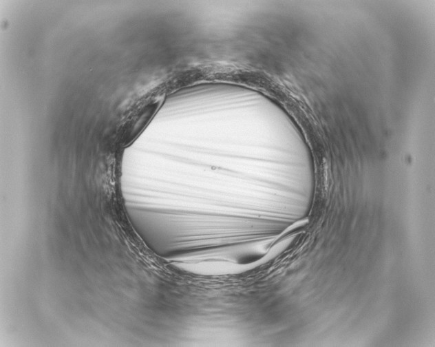 X0000088571301200706221241