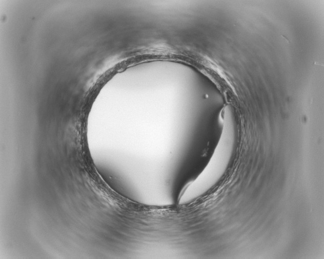 X0000088571304200706221241