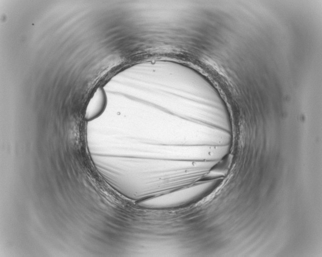 X0000088571305200706221241