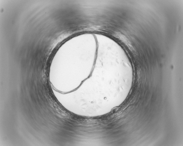 X0000088571308200706221241