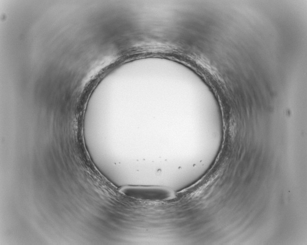 X0000088571309200706221241