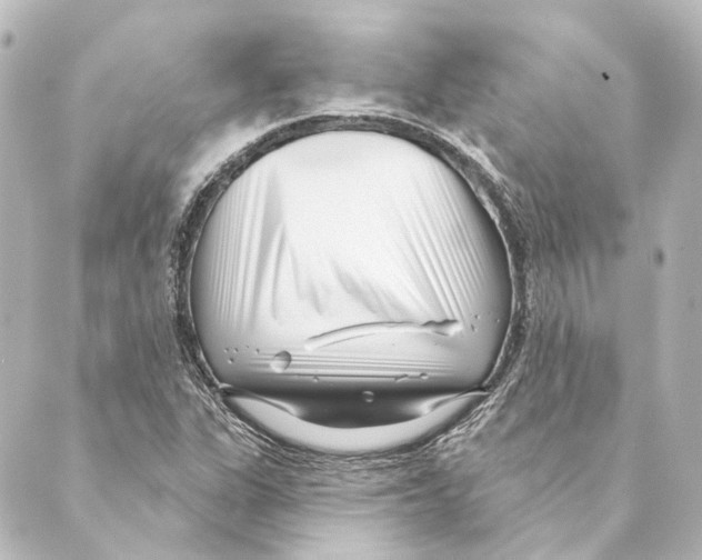 X0000088571311200706221241