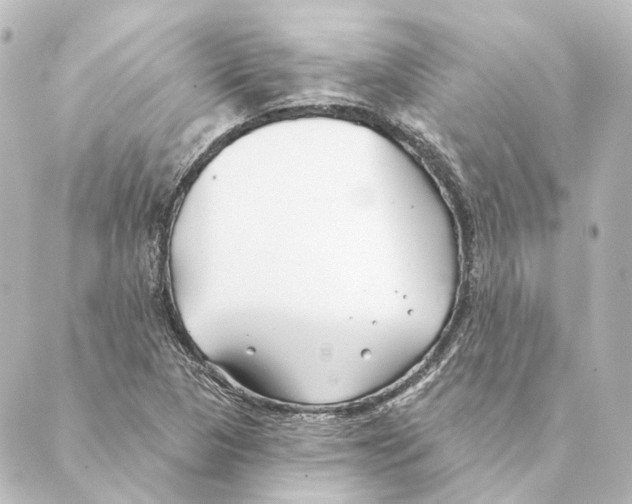 X0000088571313200706221241