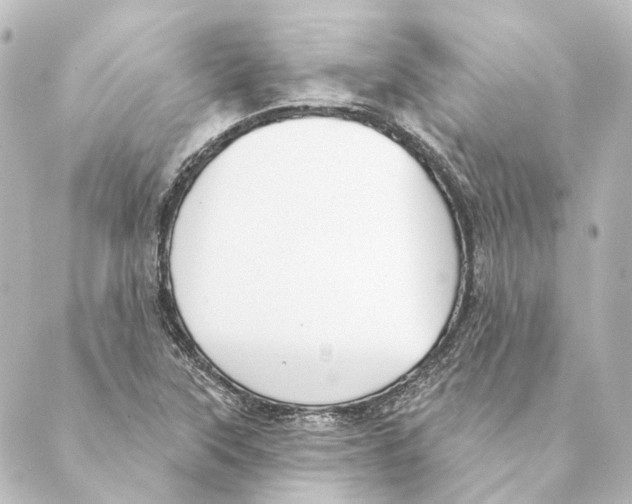 X0000088571315200706221241