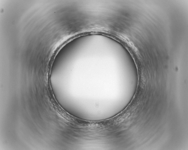 X0000088571316200706221241