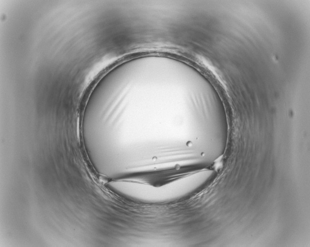 X0000088571320200706221241