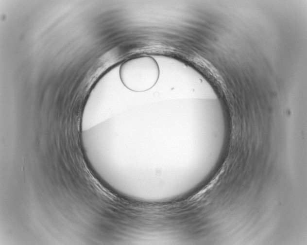 X0000088571321200706221241