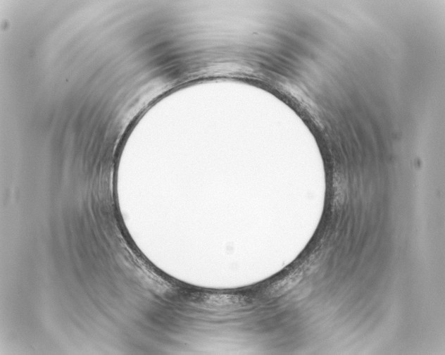 X0000088571322200706221241