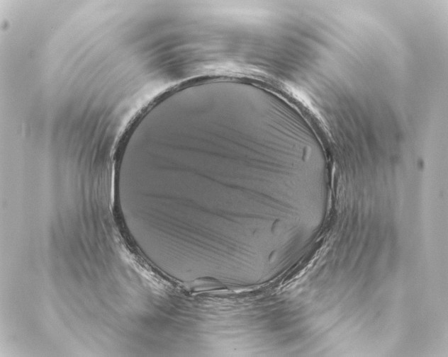 X0000088571323200706221241