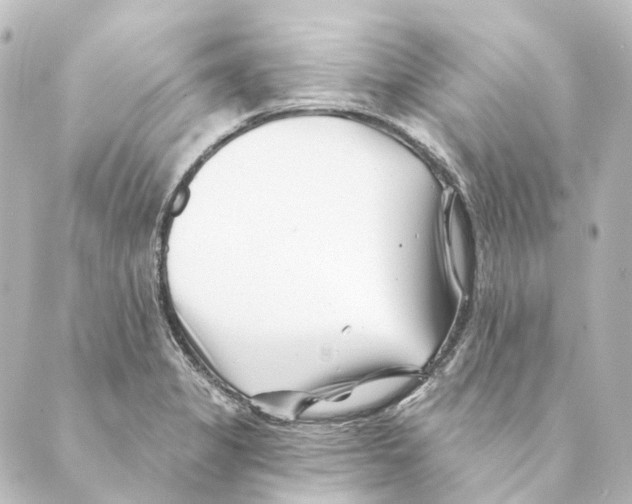 X0000088571325200706221242