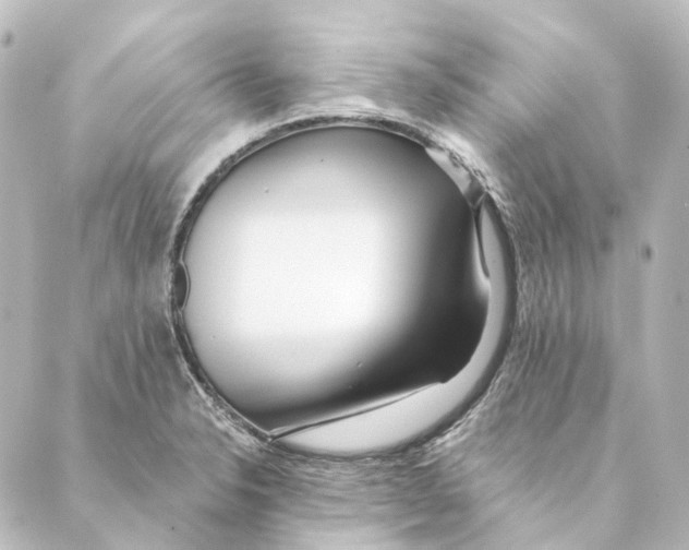 X0000088571326200706221242