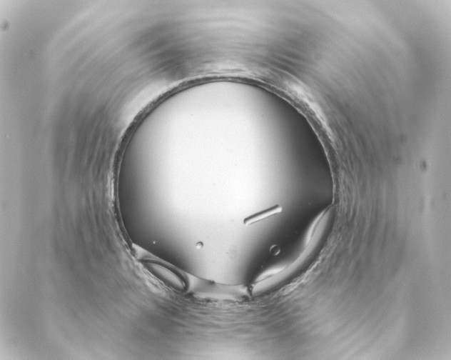 X0000088571328200706221242