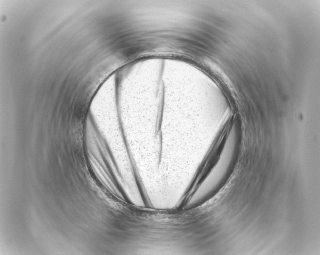 X0000088571329200706221242