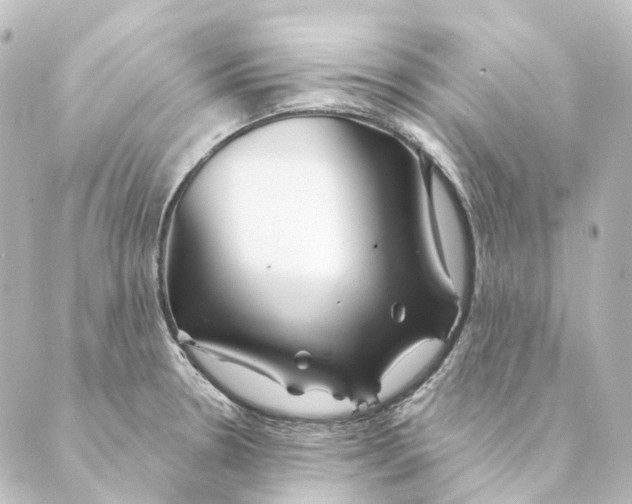 X0000088571330200706221242