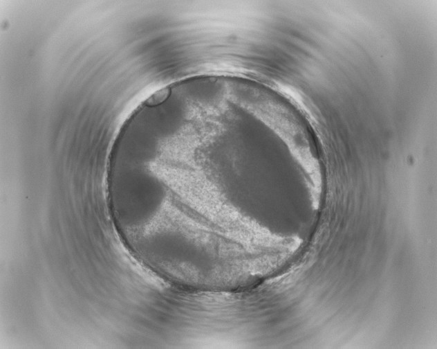 X0000088571331200706221242