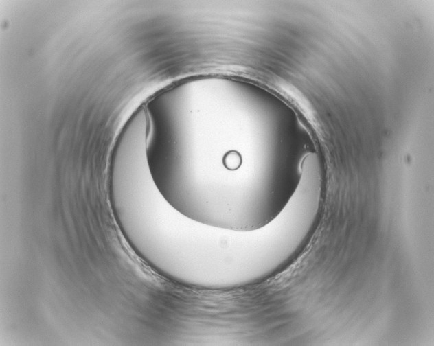 X0000088571332200706221242