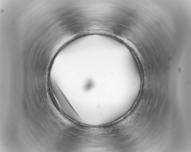 X0000088571333200706221242