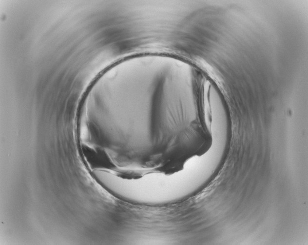 X0000088571334200706221242