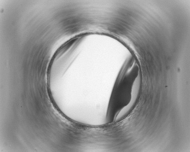 X0000088571335200706221242