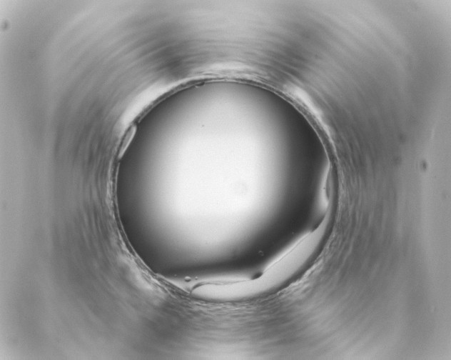 X0000088571336200706221242