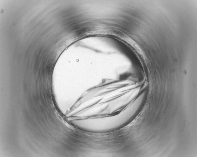 X0000088571337200706221242