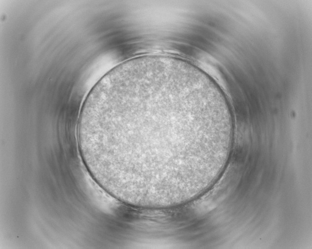 X0000088571338200706221242