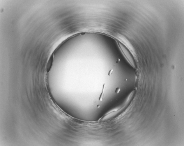 X0000088571340200706221242