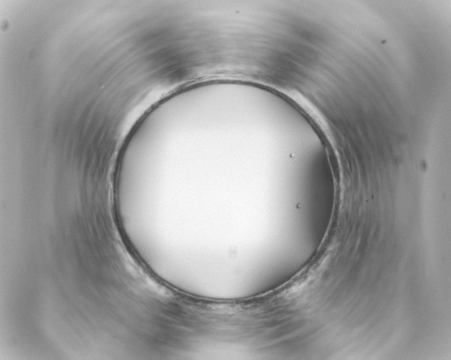 X0000088571341200706221242